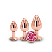 Rear Assets Trainer Kit Pink - set analnih plugova