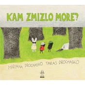 Kam zmizlo more?