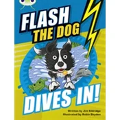 Bug Club Independent Fiction Year 3 Brown B Flash the Dog Dives In!