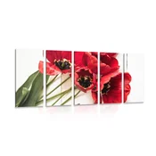 5-delna slika cvetoči rdeči tulipani - 150x75