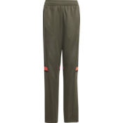 Hlače adidas SQUADRA25 TR PNT Y