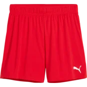 Puma Kratke hlače teamGOAL Handball Shorts W