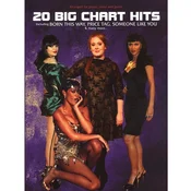 20 BIG CHART HITS PVG
