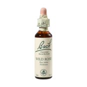 Bach Wild Rose, kapljice št. 37 - šipek, 20 ml