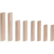 DOMINO Festool bukev D 12x100/100 BU za DF 700