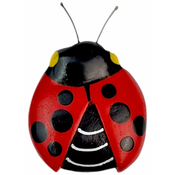 Dvěděti 2Kids Toys Leseni magnet Velika ladjica