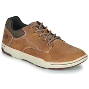 Caterpillar  Nizke superge COLFAX / CASUAL  Kostanjeva