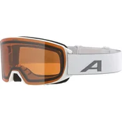 ALPINA Nakiska Q-Lite okuliare, white matt