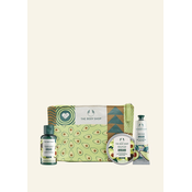 Rich & Creamy Avocado Mini Gift