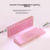 Dareu Tastatura, Žicana, Roze