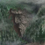 Petrels - Jör? (Limited Edition) (LP)