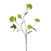 Viburnum veja zelena 113 cm - zelena - 101 do 150 cm
