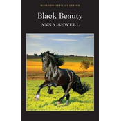 Black Beauty