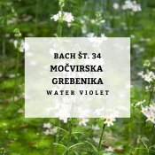 Bachove kapljice 34, Močvirska grebenika - Water Violet, 10 ml