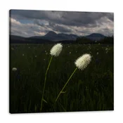 shumee Platno Narava Divje rože 50x50 cm