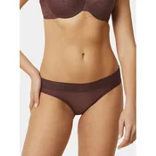 Triumph Klasične spodnje hlačke Tempting Sheer Highleg Tai 10215956 Rjava