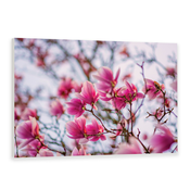 IR panel MySun Art - C09