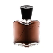 Roberto Capucci L´Homme Suave toaletna voda 100 ml za muškarce