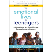 EMOTIONAL LIVES OF TEENAGERS