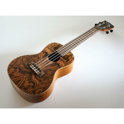 KALA CONCERT ukulele BUTTERFLY inc.case KA-BFC