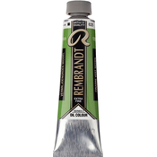 Rembrandt Oil Paint 40 ml Cinnabar Green Medium