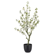 Mömax Veja S Češnjevimi Cvetovi Kirschblüte I -Paz-
