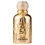 Auraa Desire Cedar Paradise Parfumska voda 100ml