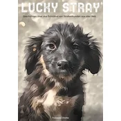 Lucky stray