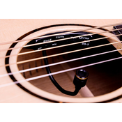 CRAFTER DS-2 SOUNDHOLE MONT PICKUP PREAMP