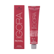 SCHWARZKOPF Igora Royal - 6-6 temno blond čokolada, 60 ml