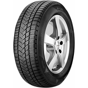 Sunny Wintermax NW211 ( 205/55 R16 91H)