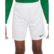 Dri-FIT Park III Women
