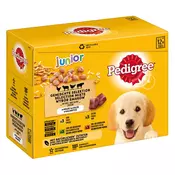 Multi pakiranje Pedigree Junior vrecice za pse - 12 x 100 g