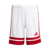 ADIDAS PERFORMANCE Športne hlače Squadra 25 rdeča/bela