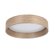 Eglo 900463 - LED plafonsko svetlo LUPPINERIA LED/24W/230V