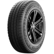 BF Goodrich Activan Winter 2 ( 205/75 R16 110R )
