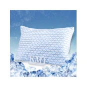 Hladilni vzglavnik IceFresh Comfort 50x70 cm EMI