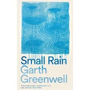 Small Rain