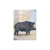Tarča EU Prašič mala 43x33 cm
