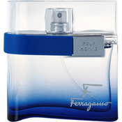 Salvatore Ferragamo F by Ferragamo Free Time toaletna voda za moške 50 ml