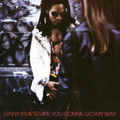 Kravitz,Lenny Are You Gonna Go My Way (2LP) -