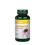 Vitaking - Ehinaceja Purpurea 250 mg, 90 kapsul