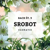 Bachove kapljice 9, Srobot - Clematis, 10 ml