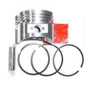 Briggs klip sa kar la 300 iisp fi76,6 dr ( 12025 )