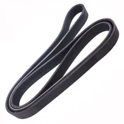 MASTER-SPORT MULTILINE BELT 7PK1801