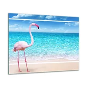 shumee Steklena zaščitna plošča ZA štedilnik 60x52 flamingo