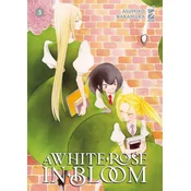 white rose in bloom