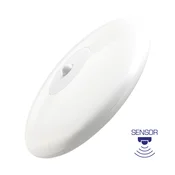Braytron LED plafonjera sa senzorom BRY-JADE-OKRUGLA-D260-18W-3000K-IP44