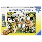 Ravensburger puzzle (slagalice) 300pcs Srecne životinje RA13160