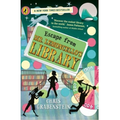 Escape from Mr Lemoncellos Library